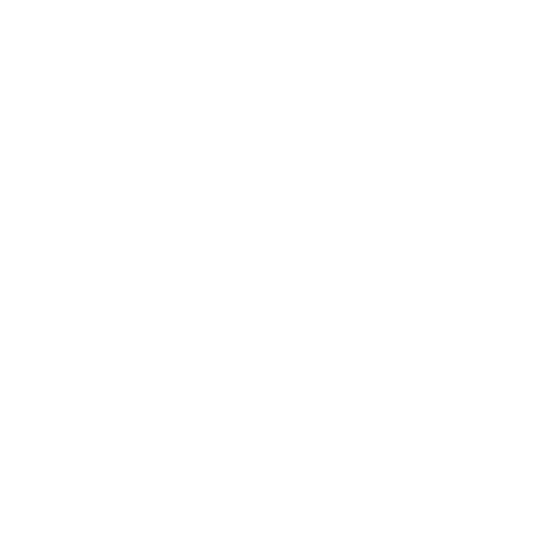 NM film logo white